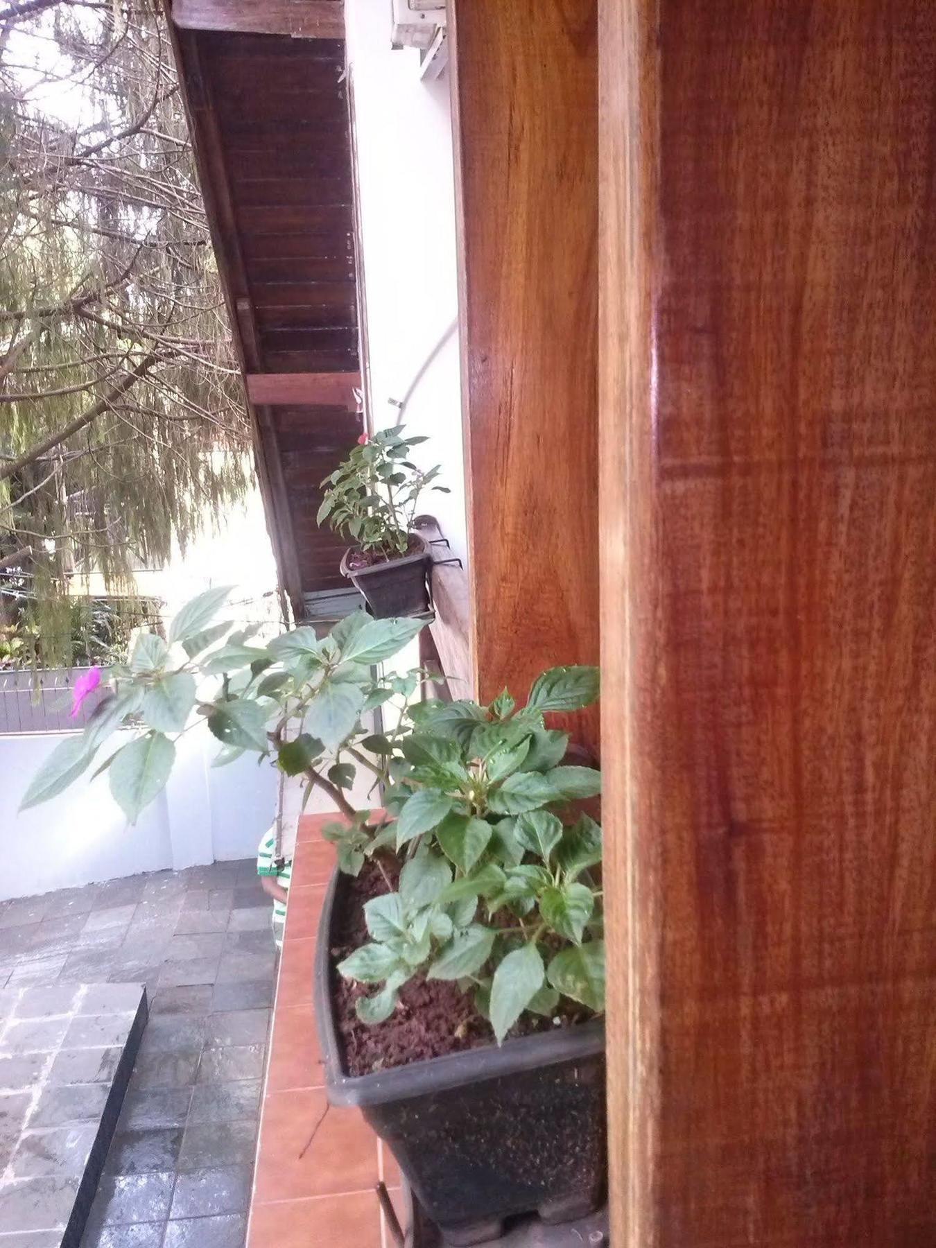Petit Hotel Caraguata Puerto Iguazú Exterior foto